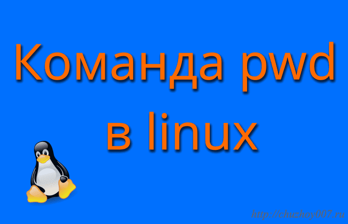 Команда pwd в linux, отображение текущего рабочего каталога в терминале.