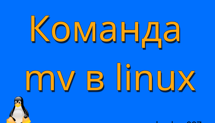 Подробный обзор команды mv в linux