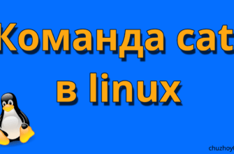 Команда cat в linux