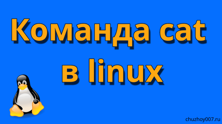 Команда cat в linux