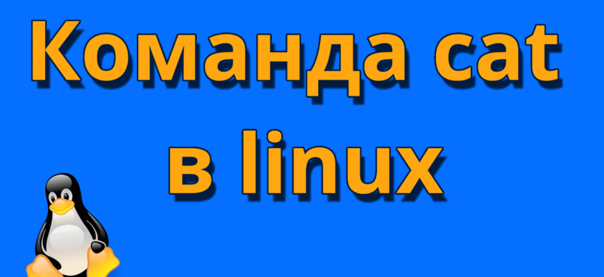 Команда cat в linux